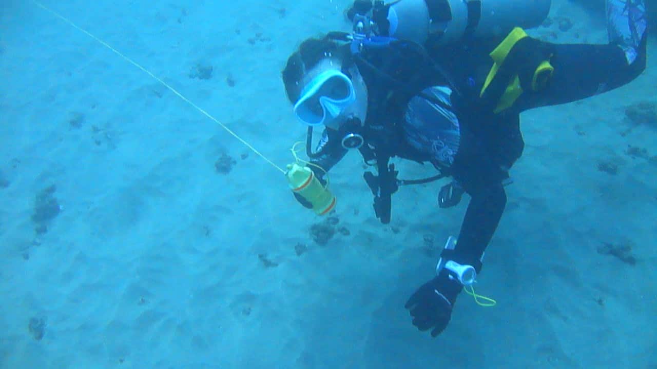 Search and Recovery Specialty