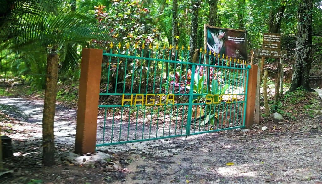 The gated entrance to the gardens of Hagia Sofia