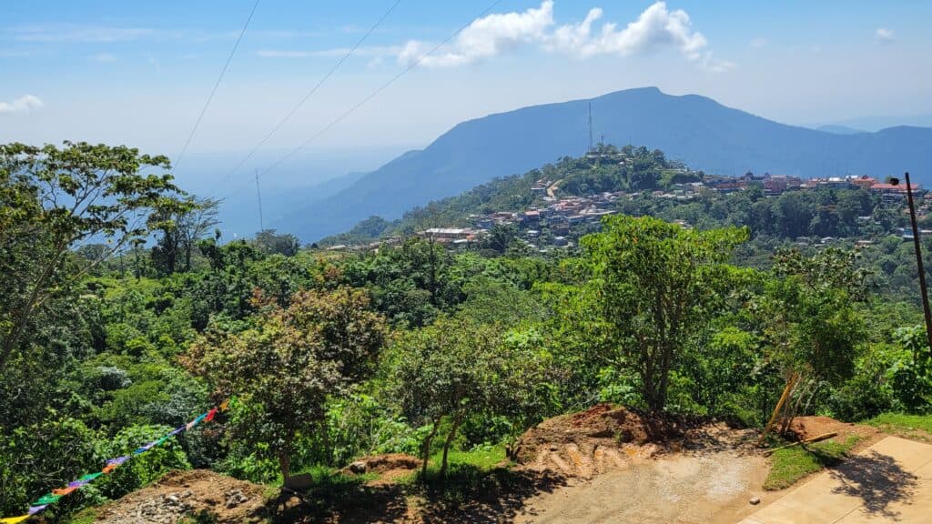 The lush landscape of the Sierra Madre mountains in Pluma Hidalgo is a stark contrast to the dry trees in Huatulco in the winter!