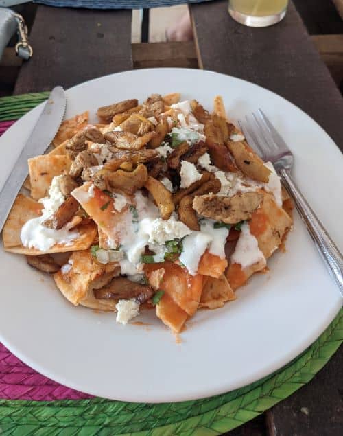 A plate stacked with fried tortilla, chicken, cheese, and salsa. Chilaquiles are my favourite Mexican breakfast!