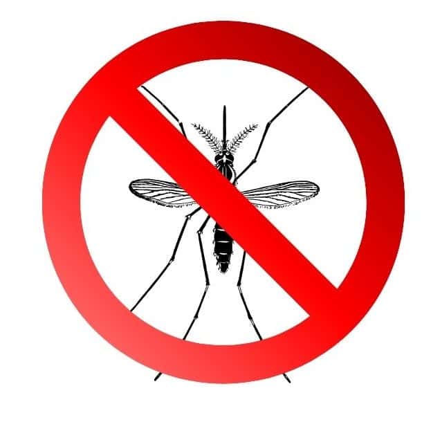 Absolutely no bug repellent or sunblock can be used at Magic Falls