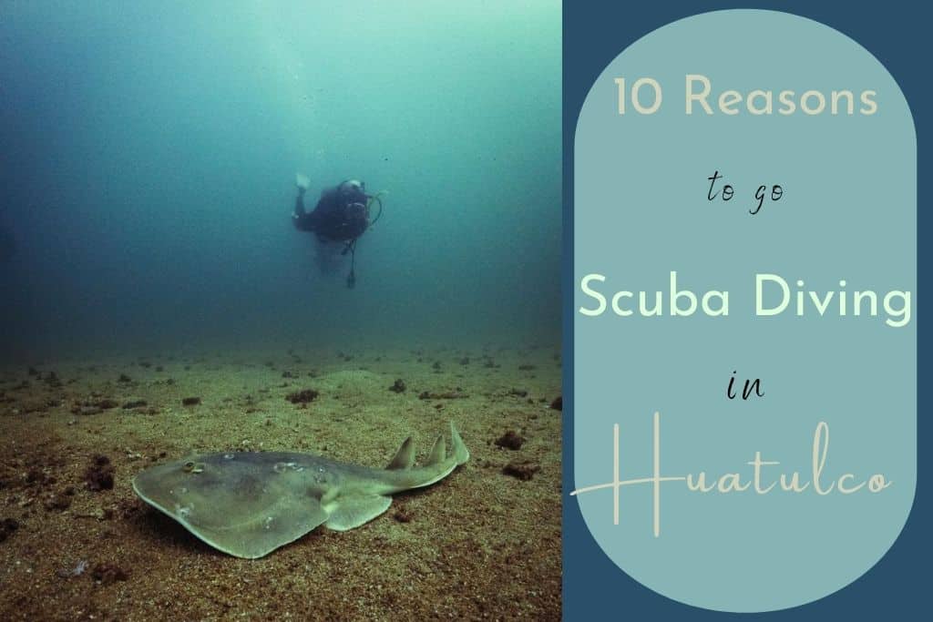 Scuba diving in Huatulco Oaxaca Mexico