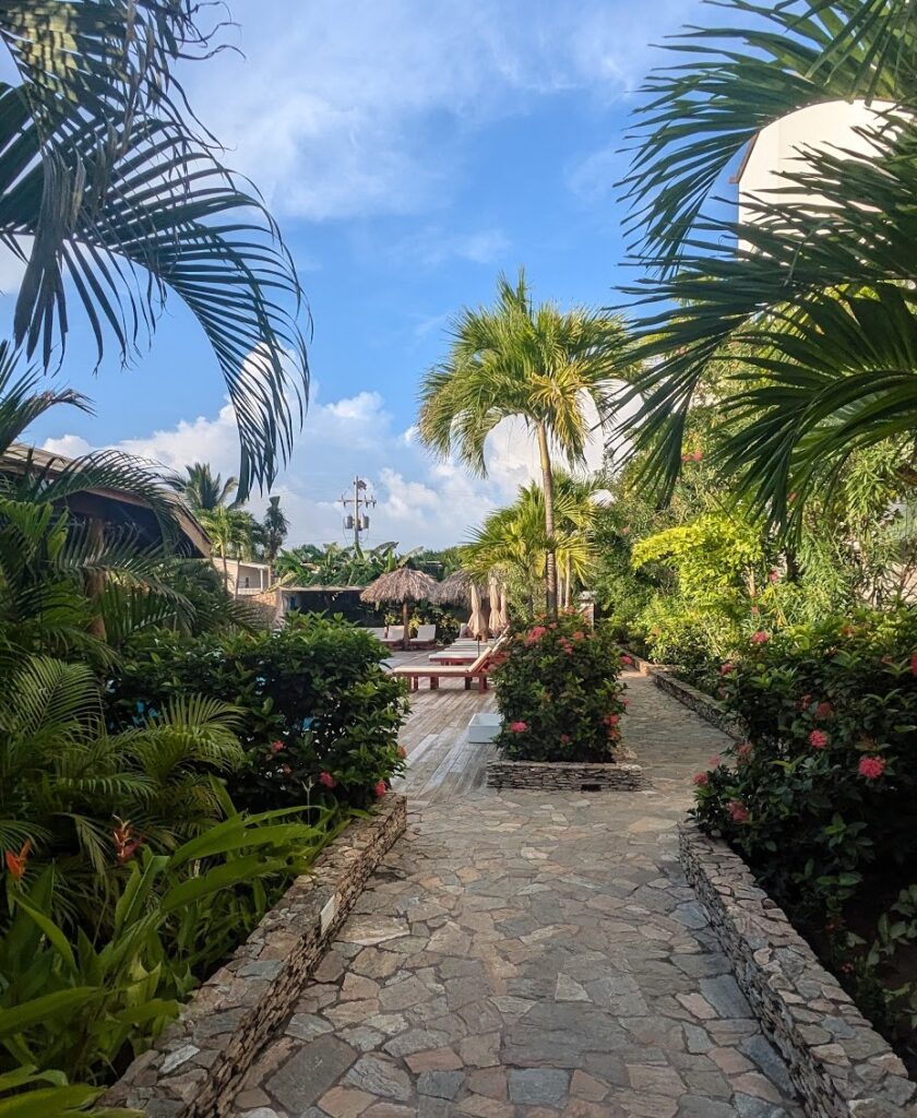 A stone walkway lined with lush tropical plants leads to a sunny pool area with wooden loungers and thatched umbrellas, creating a relaxing atmosphere typical of roatan dive resorts. Tall palm trees frame the scene against a bright blue sky, highlighting the peaceful garden setting.