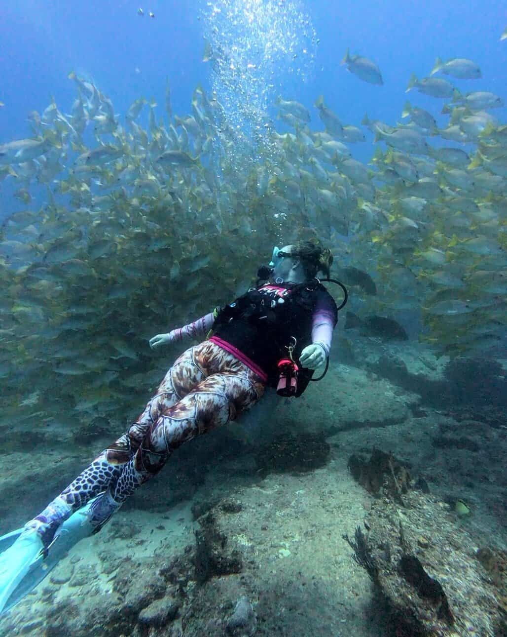 Shev floats in front of a school of yellow tail jacks on a dive in Cabo Pulmo. 