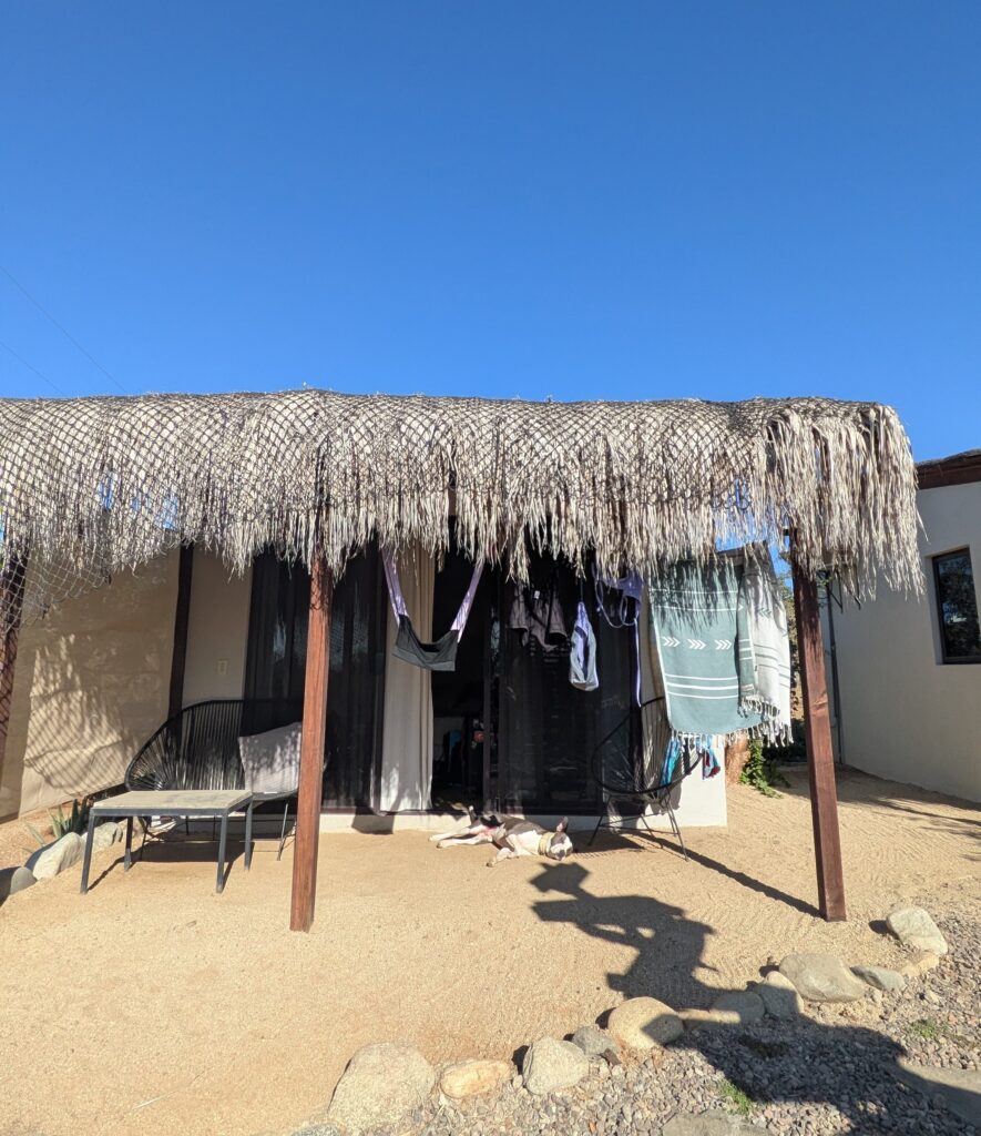 a square, cement room with a straw palapa is pictured as an example of glamping in cerritos. simple but comfortable