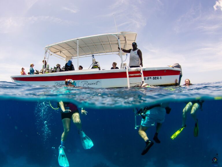 the image is divided horizontally, so you can see above and below the water.Above the water is a small white boat with Naboo Resort printed on the side. You can see 3 divers in the foreground, their legs and fins visible under the water, and smile above