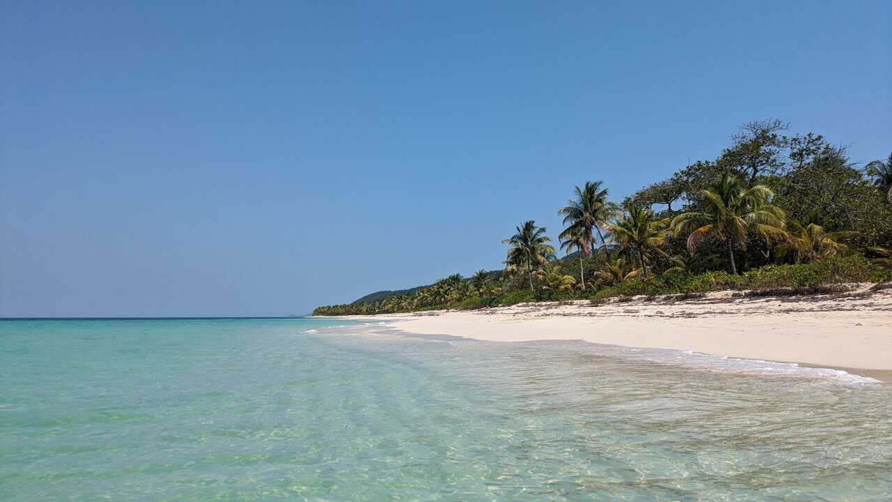 A wide sandy beach in Roatan with clear turquoise water gently meeting the shore and palm trees lining the coastline under a bright blue sky. The calm shallow water and tropical setting show how easy it is to snorkel from the beach in Roatan