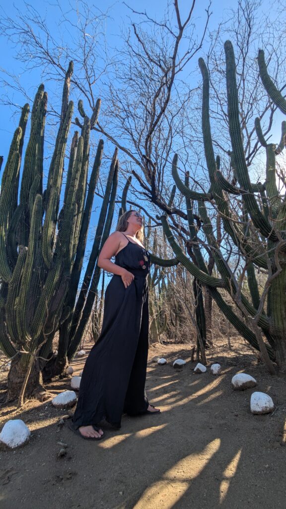 shev stands between towering cacti at the cactus sanctuary near El Triunfo in Baja. A short drive from cerritos