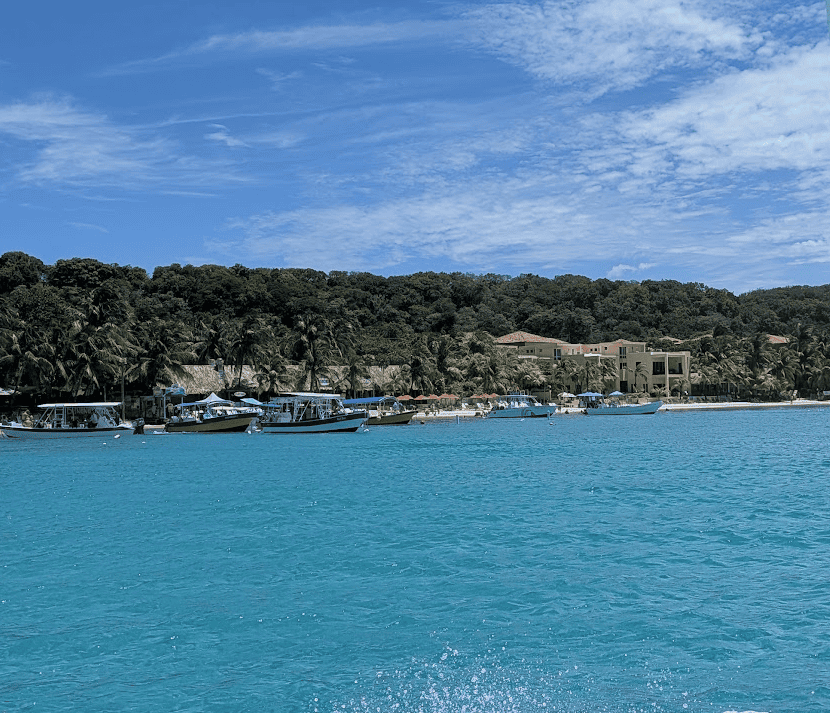Dive boats line the shore of West Bay Beach in Roatan, with lush jungle and dive shops nestled under palm trees along the coastline. This clear turquoise water and easy beach access make it a prime launching spot for Roatan dive shops.