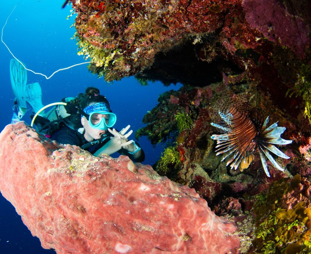 A scuba diver signals underwater while exploring a vibrant coral reef in Roatan, facing a striped invasive lionfish near a rocky crevice. This scene captures the kind of marine encounters common on dives organized by Roatan dive shops.