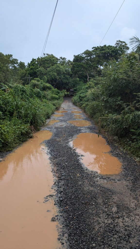 A narrow gravel road in Roatan is filled with large muddy puddles after a rainfall, surrounded by dense tropical greenery under an overcast sky. Scenes like this highlight the challenges of travel during rainy season and why dry months are considered the best time to visit Roatan.