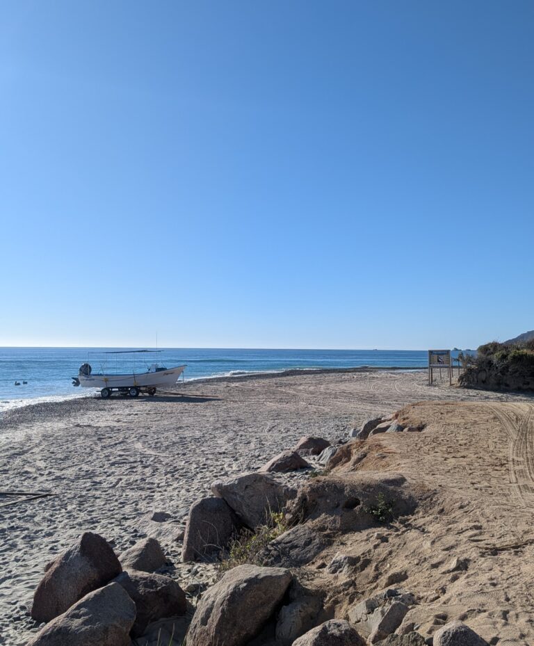 Cabo Pulmo Travel Guide: Where to Stay, Dive, and What to Expect