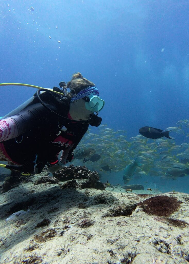Shev dives above a reef in Cabo Pulmo surrounded by schools of fish in clear blue water. The diver looks toward the fish while hovering over coral and sandy patches.